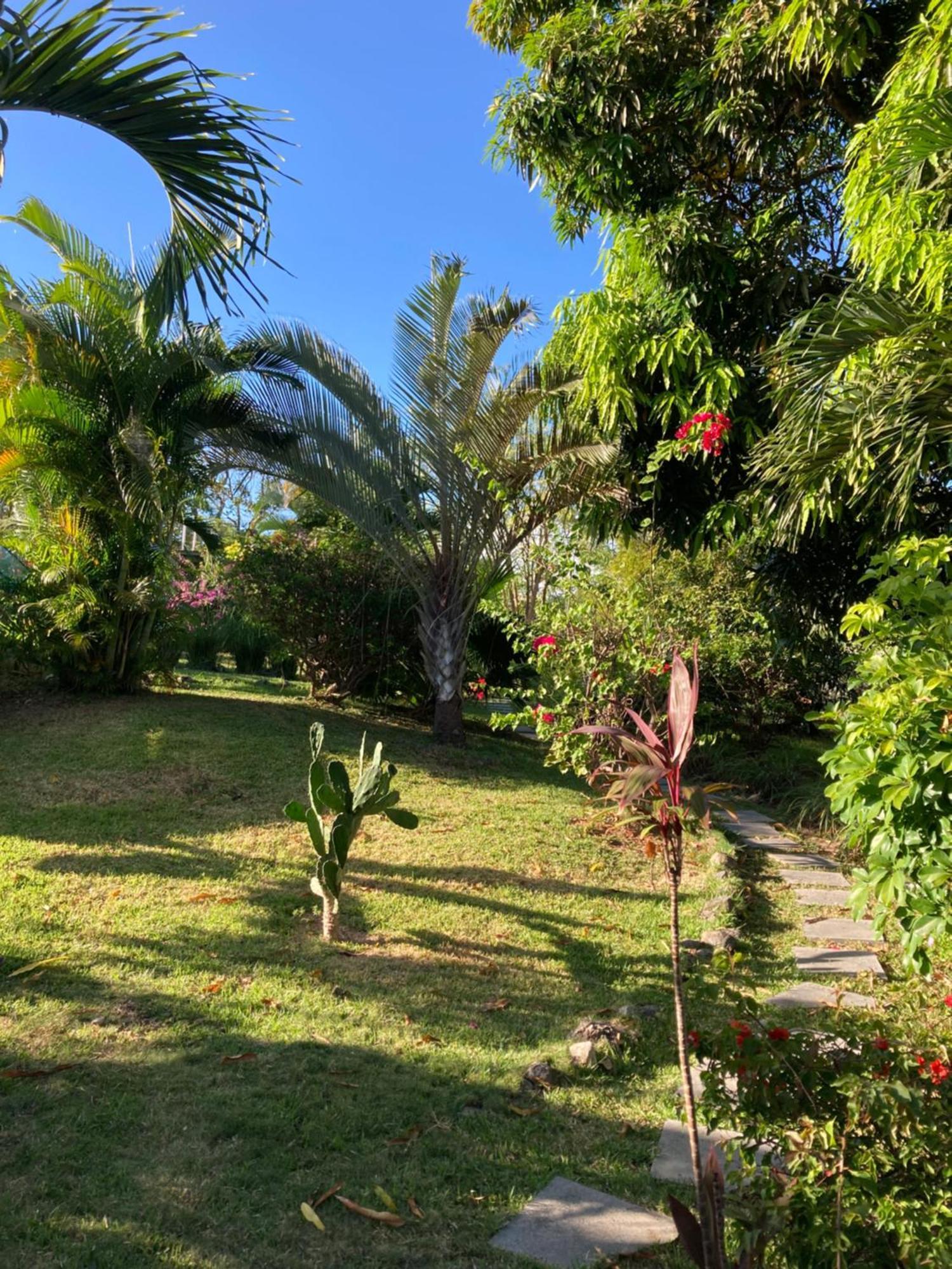 La Maracuya Panama Bed & Breakfast Playa Coronado Exterior foto