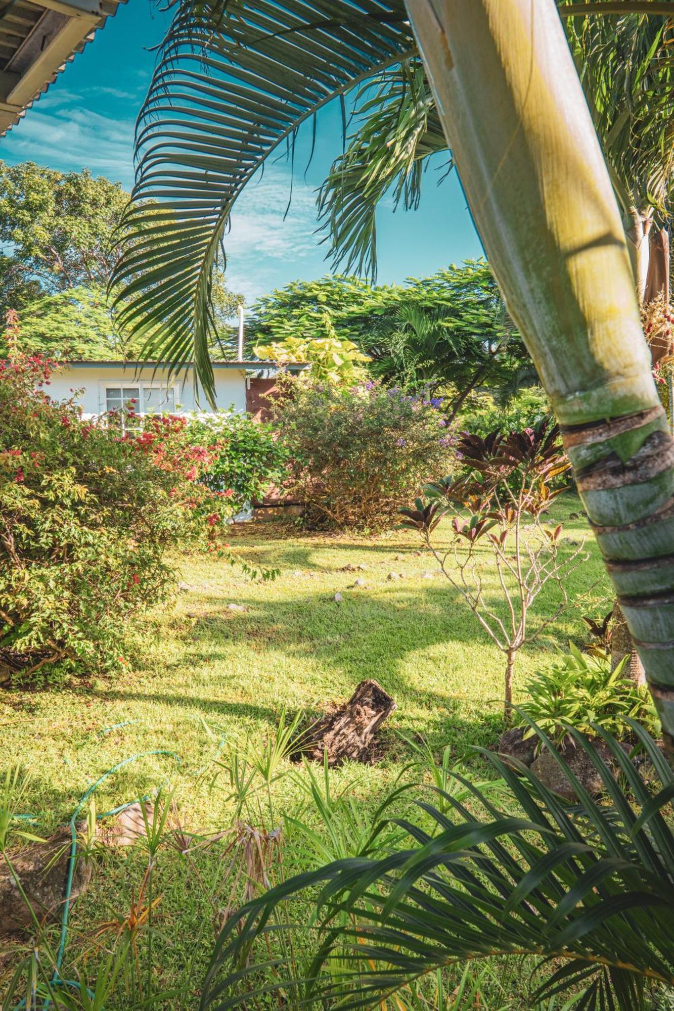 La Maracuya Panama Bed & Breakfast Playa Coronado Exterior foto
